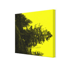 Yellow Tree Gallery Wrapped Canvas