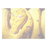 Yellow-tree python, baby invitation