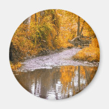 yellow trees magnet