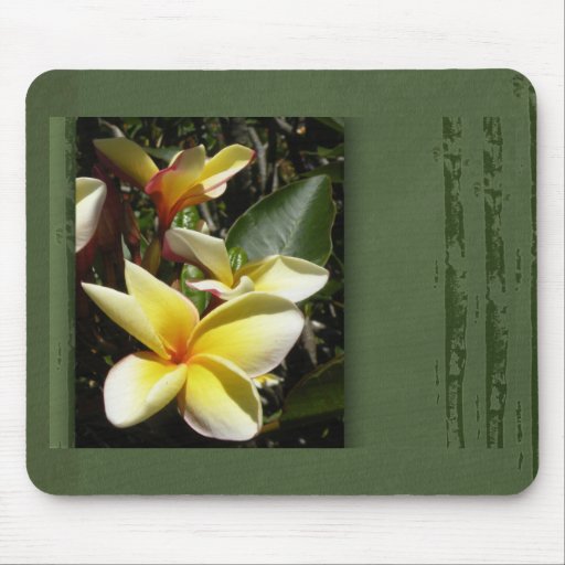 Yellow tropical plumeria flower mouse pads