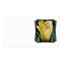 Yellow Tulip Business Card