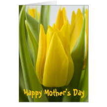 Yellow tulip flower ... card