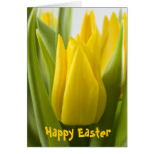 Yellow tulip flower ... Easter card