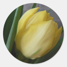 Yellow Tulip Flower Round Sticker