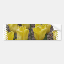 Yellow Tulip Flowers Bumper Sticker