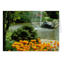 yellow Tulip Garden flowers Cards