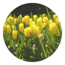 Yellow Tulip Garden Sticker