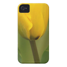 Yellow Tulip iPhone 4 Case-Mate Cases