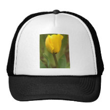 Yellow Tulip Mesh Hat