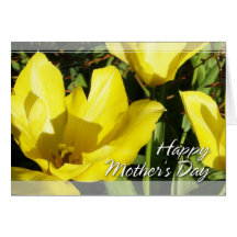 Yellow Tulip Mother's Day Cards