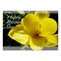 Yellow Tulip Mother's Day Cards
