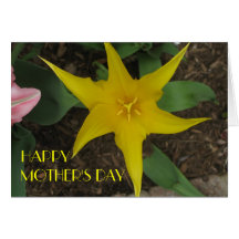 Yellow Tulip, Mother's Day Greeting Card