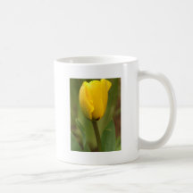 Yellow Tulip Mugs