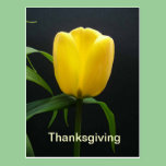 Yellow tulip thanksgiving postcard postcards