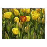 Yellow Tulips Birthday Card