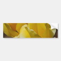 Yellow Tulips Bumper Sticker