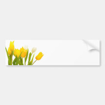 Yellow tulips bumper stickers