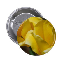 Yellow Tulips Button