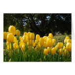 Yellow Tulips Card