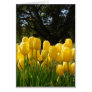 Yellow Tulips Card