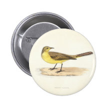 Yellow Wagtail Button