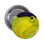 Yellow Watchman Goby Fish Buttons