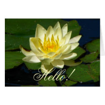 Yellow Waterlily Greeting Card