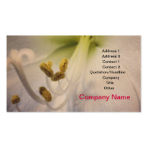 Yellow & White Flower Seed Business Card