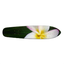 Yellow & White Hawaiian Plumeria Flower Skateboard skateboards