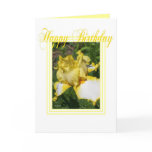 YELLOW & WHITE IRIS - HAPPY BIRTHDAY CARD