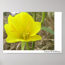 Yellow Wild Flower Poster