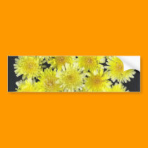 Yellow Wild Flowers bumper stickers