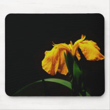 Yellow Wild Lily Mouse Pads