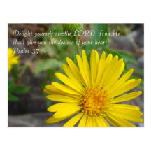 Yellow Wildflower Post Cards