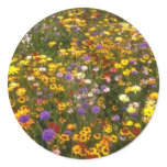 Yellow Wildflowers flowers Sticker