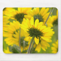 yellow wildflowers mousepad