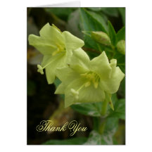 Yellow Willow Herb Blossoms Greeting Cards
