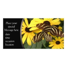 yellow wonders photo cards