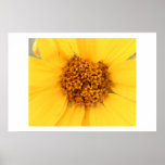 Yellow Yellow Poster