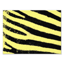 Yellow zebra photograph