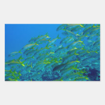 Yellowfin Goatfish Rectangular Stickers