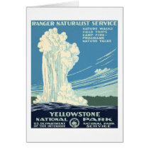 Yellowstone National Park Cards