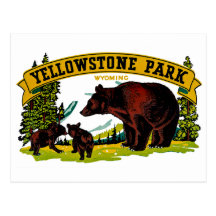 Yellowstone Park Post Card