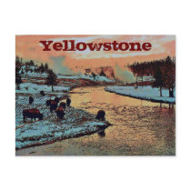 Yellowstone Postcard