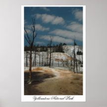 Yellowstone poster