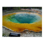 Yellowstone Thermal Spring In Morning Post Card