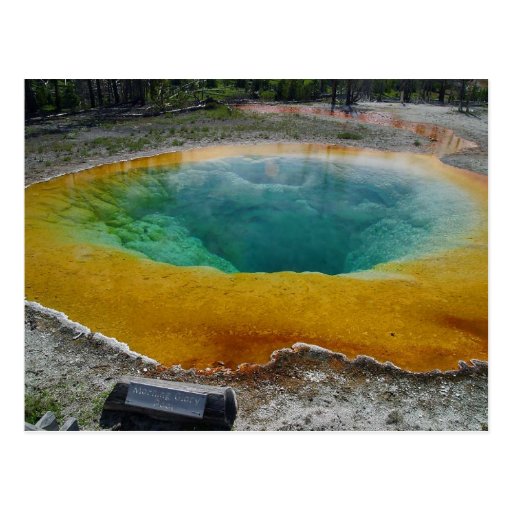 Yellowstone Thermal Spring In Morning Post Card