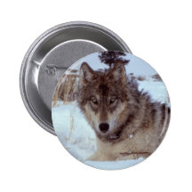 Yellowstone Wolf Pinback Button