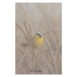 Yellowthroat Bird Pillow Stationery Design