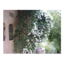 Yemin Moshe Carte Postale